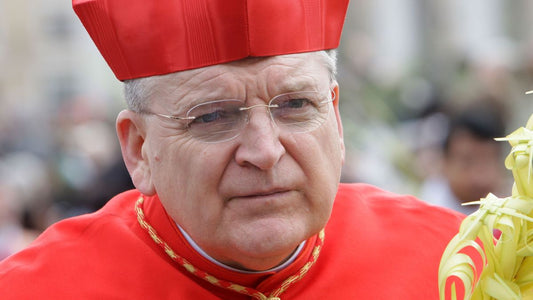 S.E.R. Cardinal Burke - collection of never-before published articles